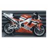 bulle ERMAX racing YAMAHA YZF R1 1998-1999 0