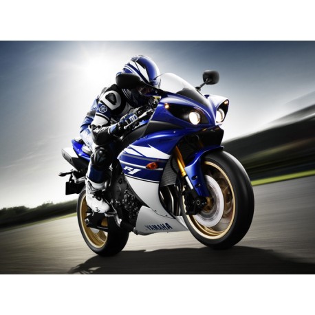 bulle ERMAX racing YAMAHA YZF R1 2009-2014