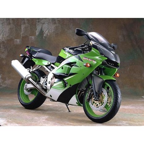 bulle ERMAX racing KAWASAKI ZX6R 2000-2002