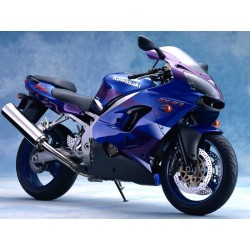 bulle ERMAX racing KAWASAKI ZX9R 2000-2001