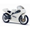 bulle ERMAX racing YAMAHA TZ 125 / R 2002-2003 0