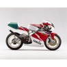 bulle ERMAX racing YAMAHA TZ 250 1989-1998 0
