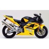 bulle ERMAX racing HONDA CBR900RR FIREBLADE 2002-2003 0