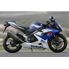 bulle ERMAX racing SUZUKI GSXR 1000 2005-2006 0