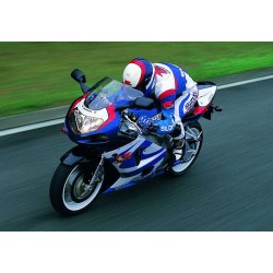 bulle ERMAX racing SUZUKI GSXR 600 GSXR 750 GSXR 1000