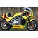 bulle ERMAX racing MOTO MARTIN