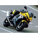 bulle ERMAX racing YAMAHA YZF-R6 2003-2005