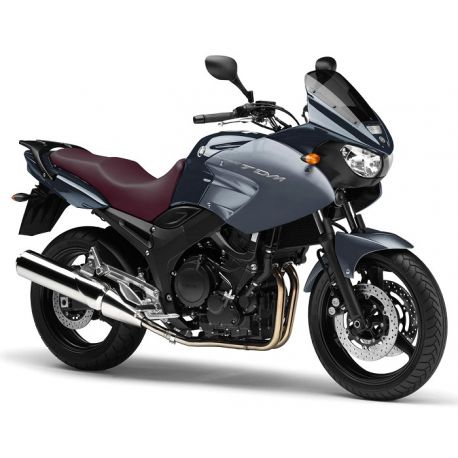 bulle taille origine ERMAX YAMAHA TDM 900 2002-2014