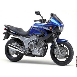 bulle taille origine large  ERMAX YAMAHA TDM 850 1992-1995