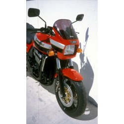 bulle haute protection ERMAX KAWASAKI ZRX 1100 ZRX 1200 R 1998-2006