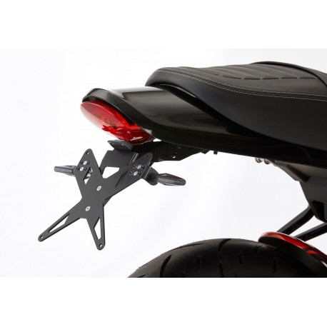 Support de plaque PROTECH X-SHAPE KAWASAKI Z900RS 2018-2021