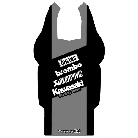 Kit déco passage de roue NINJA KAWASAKI 650 NINJA 2017-2020