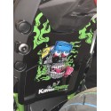 Kit déco passage de roue KAWAZOMBIE KAWASAKI 650 NINJA 2017-2020