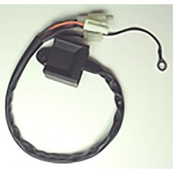 Boitier CDI Yamaha PW 80