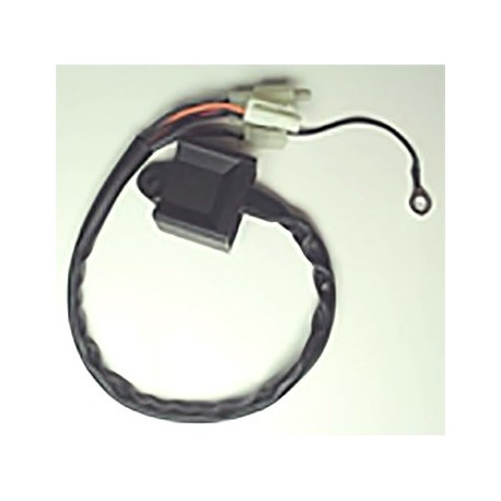 Boitier CDI YAMAHA PW 80