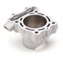 Cylindre moto AIRSAL Type origine FKAWASAKI KXF 250 KX-F 250
