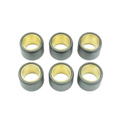 Jeu de galets ATHENA 23x18mm 18gr - 6 pièces pour variateur