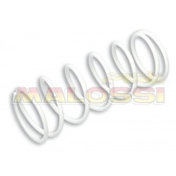 Ressort de poussée renforcé MALOSSI Honda FORZA 300