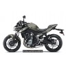 Kit déco MONSTER KAWASAKI Z650 2017-2020 1