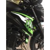 Kit déco MONSTER KAWASAKI Z900 2017-2021 4