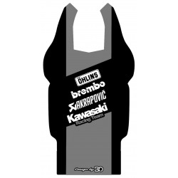 Kit déco passage de roue KRT KAWASAKI Z1000 2015-2017