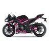 Kit déco ICON KAWASAKI ZX6R 2019-2020 4