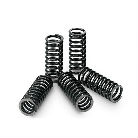Kit ressorts renforcés d'embrayage KTM GS250 EXC250 SX250 EXC300 MX300 SX300 EXC360 EXC380 SX380 HUSQVARNA SM610 TE610