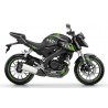 Kit déco MONSTER YAMAHA MT 125 2014-2021 3