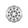 Disque de frein NG BRAKE DISC Pétale Flottant 1369X KTM 950 SUPERMOTO 990 SUPERMOTO 990 SMT 0