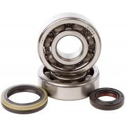 KIT RLTS+SPY VILO RM125