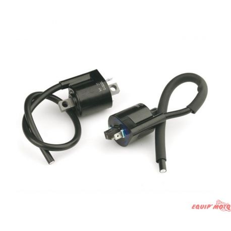 Bobines moteut MINARELLI 50cc volant japonais