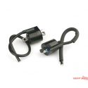 Bobines moteut MINARELLI 50cc volant japonais