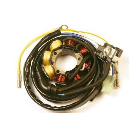 Stator HONDA XR80R CRF100F XR100R