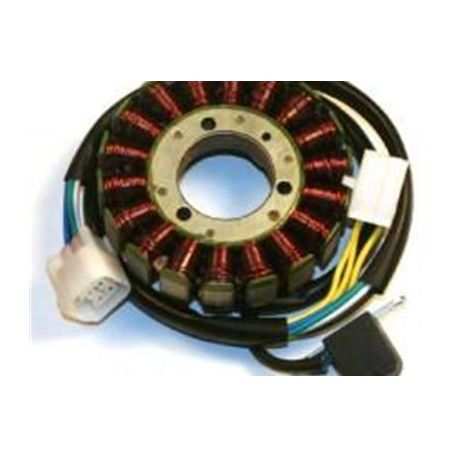 Stator avec bobine d'allumage KAWASAKI KX250F 2005-2008 SUZUKI RMZ 250 2005-2006
