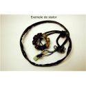 Stator SUZUKI RM125 1992-1997 RM250 1994-1995