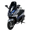bulle ERMAX ORIGINE HONDA 125 FORZA 2021 0