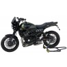 Support de plaque ERMAX KAWASAKI Z900RS 2018-2021 4