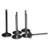 Soupape d'échappement VERTEX titane HONDA CRF 250 R CRF 250 X HM CRE-F 250 X CRM-F 250 X 0