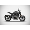 Ligne d'Echappement Zard Triumph 660 Trident 2021 2022 0