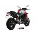 Echappement MIVV GP PRO BMW F900R F 900 R