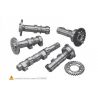 ARBRES A CAMES HOT CAMS STAGE 1 HM CRE 450, MOTARD 450, HONDA CRF450R, CRF450X, TRX450ER, TRX450R 0