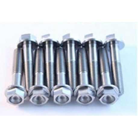 Kit vis titane SCAR pour té de fourche ACS