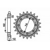 Pignon PBR acier standard 2196 - 525 0