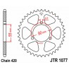 Couronne JT SPROCKETS acier standard 1077 - 420 0