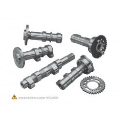 Arbre à cames HOT CAMS Niveau 1 HONDA CRF 250 X