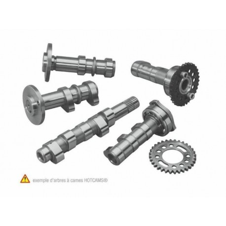 Arbre à cames HOT CAMS - Niveau 1 Yamaha YZ250F
