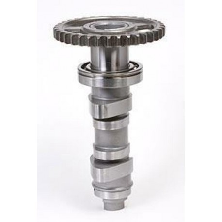 Arbre à cames HOT CAMS - Niveau 1 Honda CRF450R