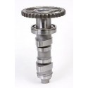 Arbre à cames HOT CAMS - Niveau 1 Honda CRF450R