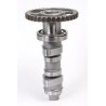 Arbre à cames HOT CAMS - Niveau 1 Honda CRF450R 1