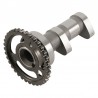 Arbre à cames admission HOT CAMS - Niveau 1 Suzuki LT-R450 2